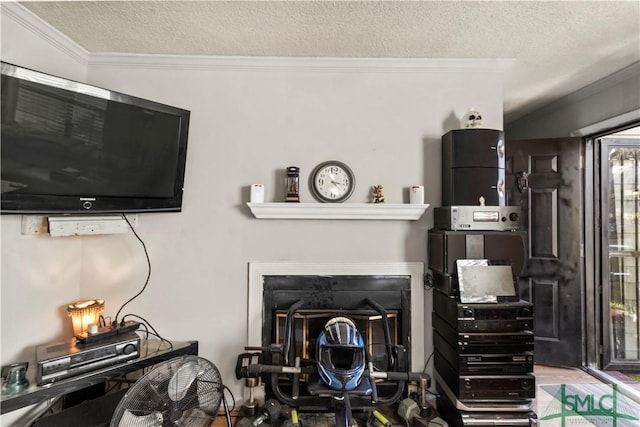 details with ornamental molding and a textured ceiling