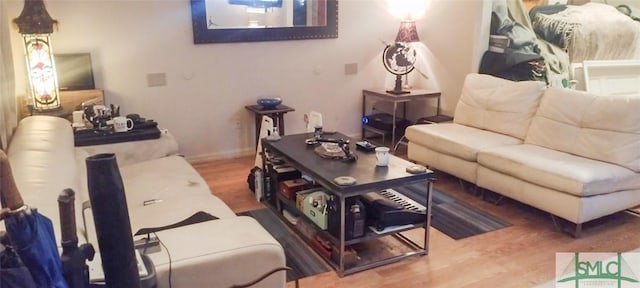 living room featuring hardwood / wood-style floors