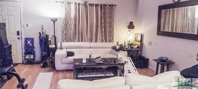 living room featuring wood-type flooring