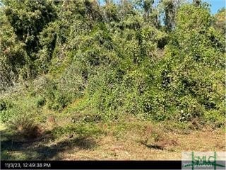 0 Adel St, Savannah GA, 31405 land for sale