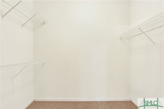 spacious closet featuring carpet flooring