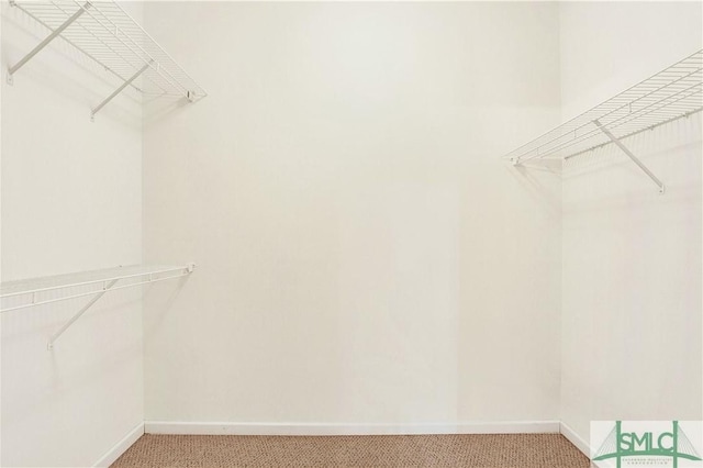 2 Putters Pl, Savannah, GA 31419 - walk in closet featuring light carpet