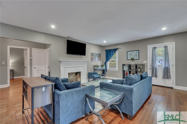 living room featuring hardwood / wood-style flooring