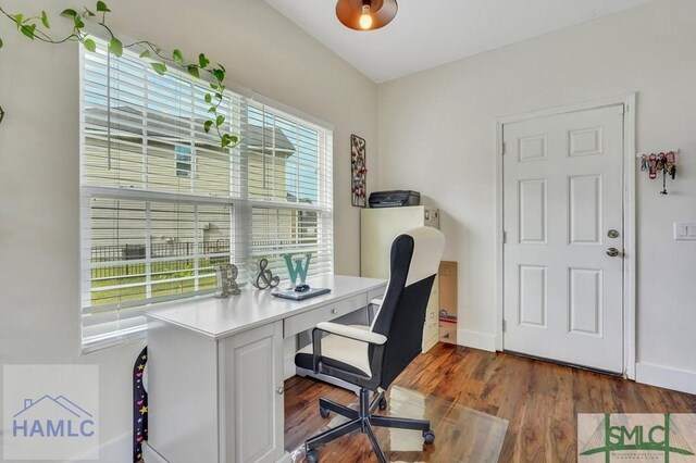 126 Thornbush Ct NE, Ludowici, GA 31316 - home office featuring dark hardwood / wood-style floors