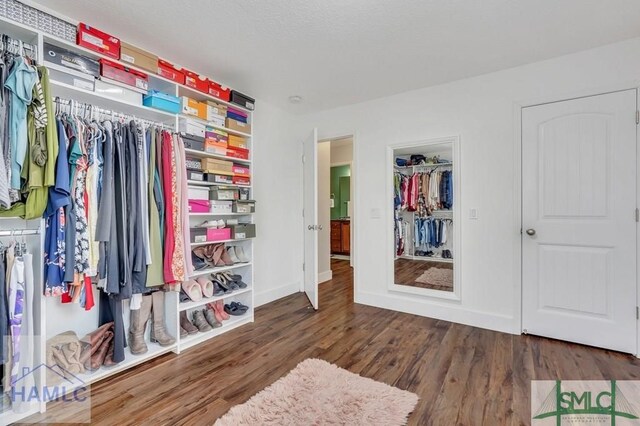 126 Thornbush Ct NE, Ludowici, GA 31316 - view of closet