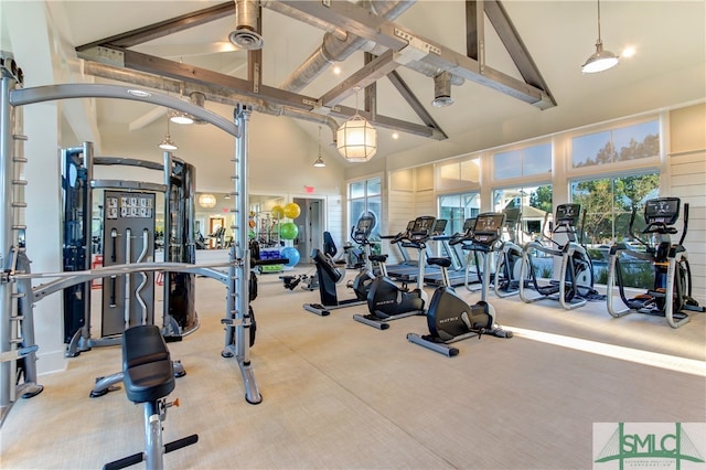 exercise room with high vaulted ceiling