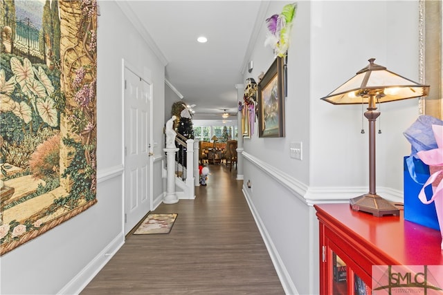 corridor with dark hardwood / wood-style floors and crown molding