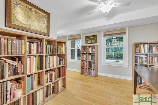 living area featuring light hardwood / wood-style flooring, a wealth of natural light, and ceiling fan