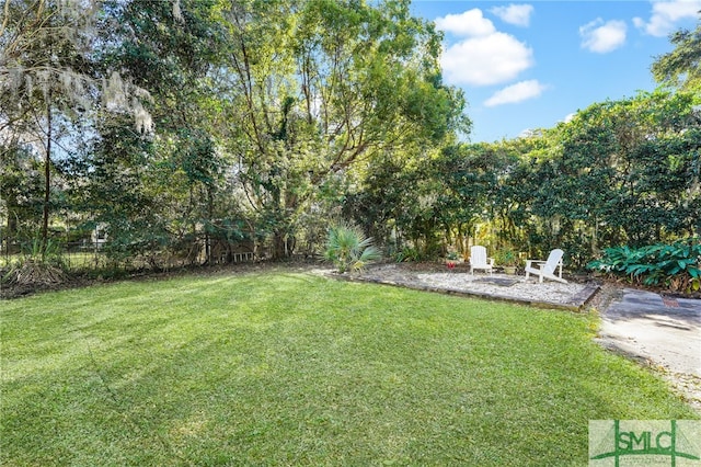 view of yard featuring a patio area