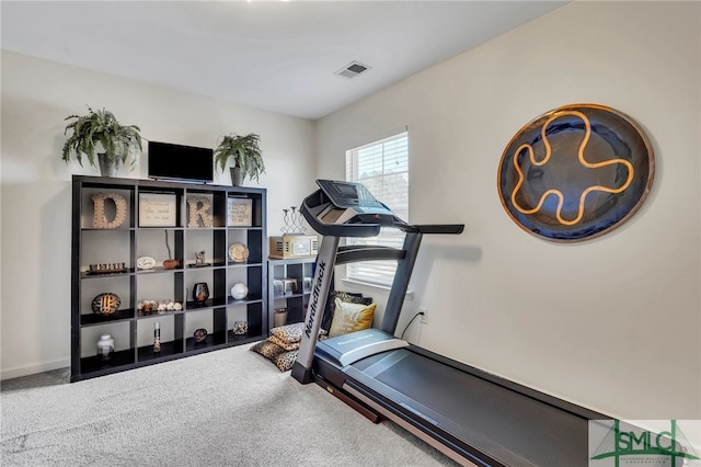 workout area featuring carpet