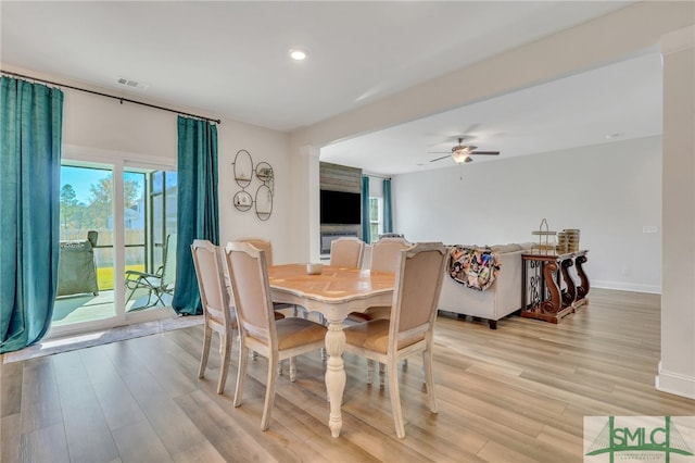 dining room featuring ceiling fan and light wood-type flooring