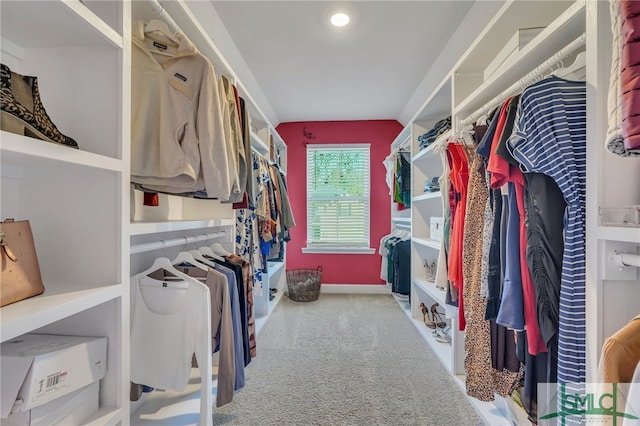 spacious closet with carpet