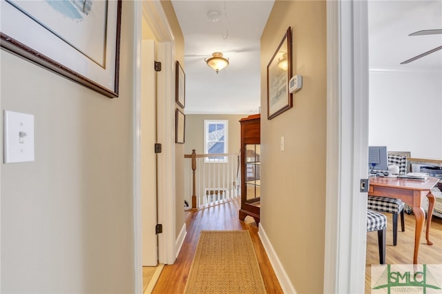 hallway featuring light hardwood / wood-style floors and ornamental molding