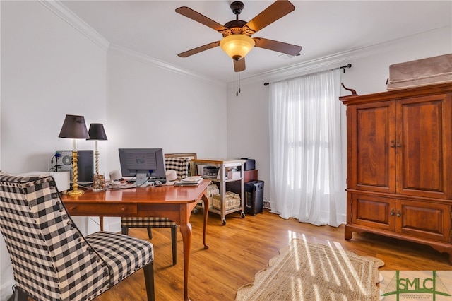 office featuring ceiling fan, light wood-type flooring, and crown molding