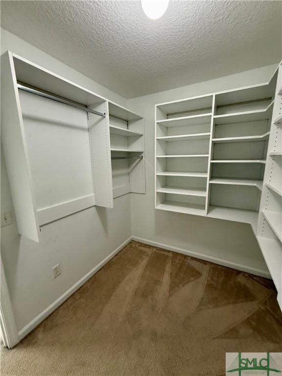 walk in closet with carpet flooring