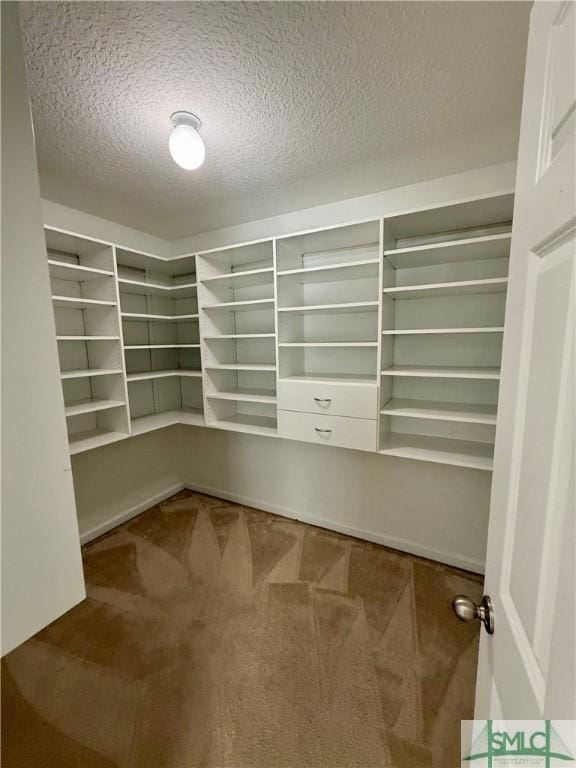 walk in closet with carpet