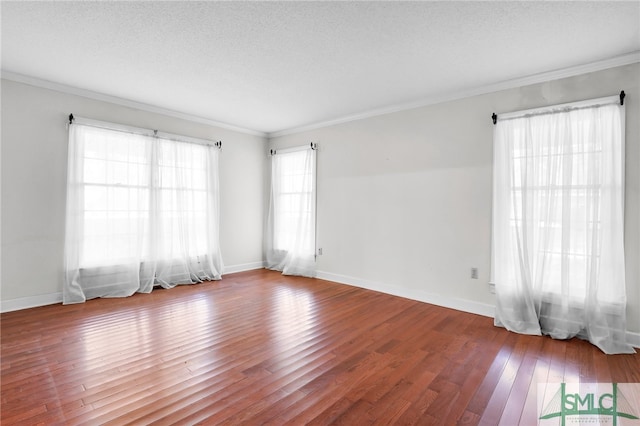 empty room featuring a wealth of natural light, wood-type flooring, and a textured ceiling