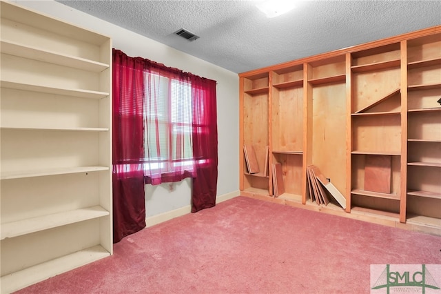 interior space with carpet floors and a textured ceiling