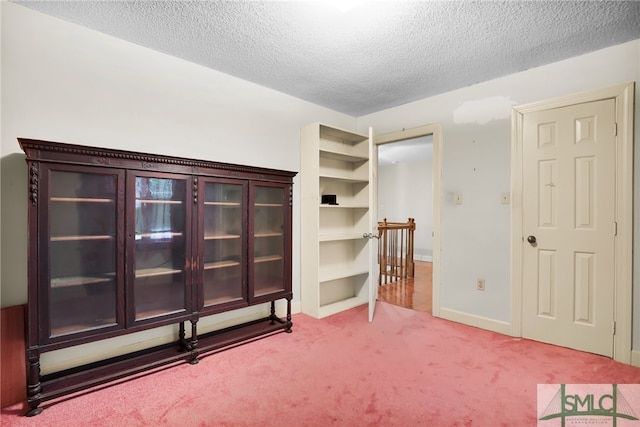 interior space with light colored carpet and a textured ceiling