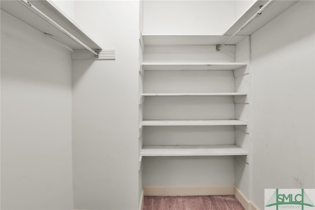 spacious closet with carpet floors