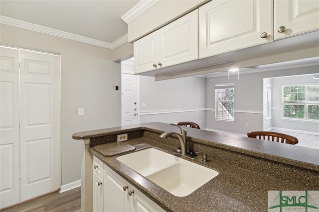 kitchen with crown molding, white cabinetry, sink, and dark wood-type flooring