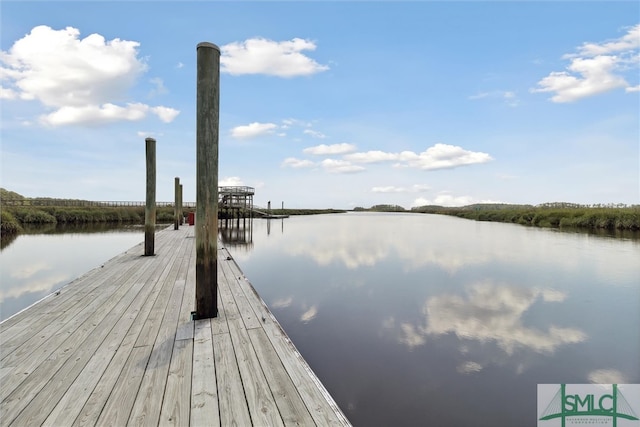 dock area with a water view