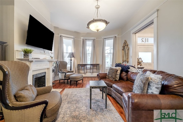 living room featuring hardwood / wood-style floors