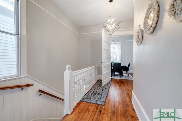 corridor featuring a chandelier, hardwood / wood-style floors, and wooden walls