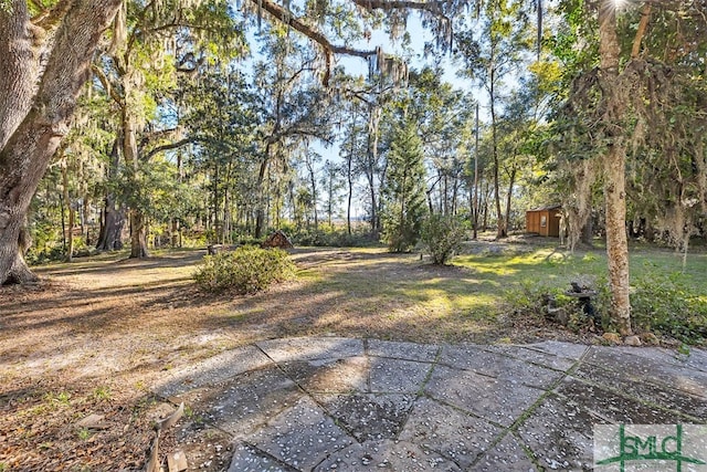 view of yard with a storage unit and a patio area