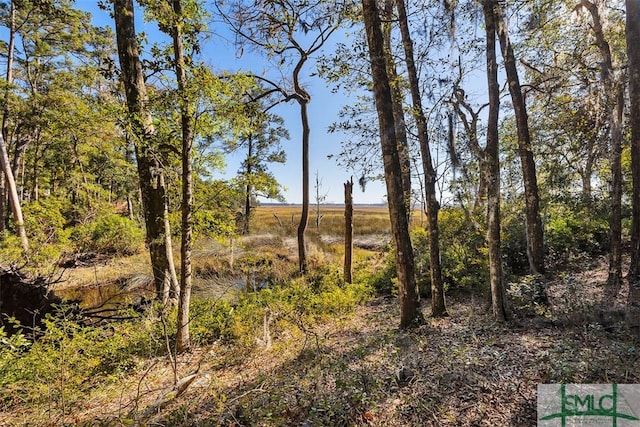 view of local wilderness