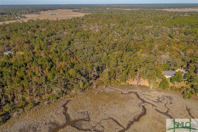 bird's eye view