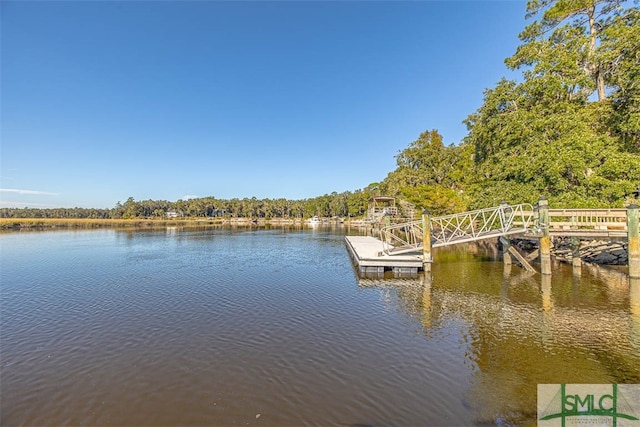 dock area with a water view