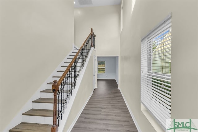 stairway featuring hardwood / wood-style floors and a healthy amount of sunlight