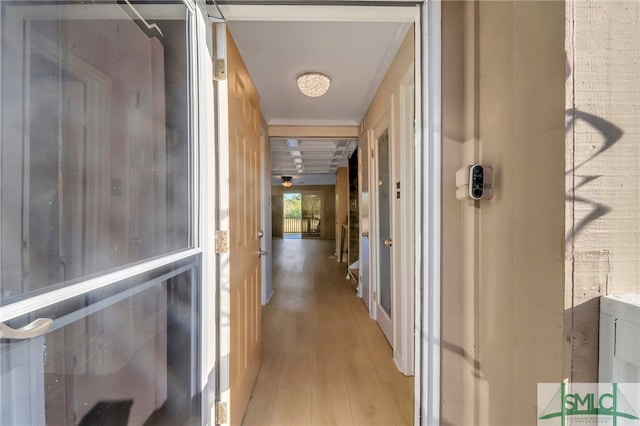 hall featuring light hardwood / wood-style floors