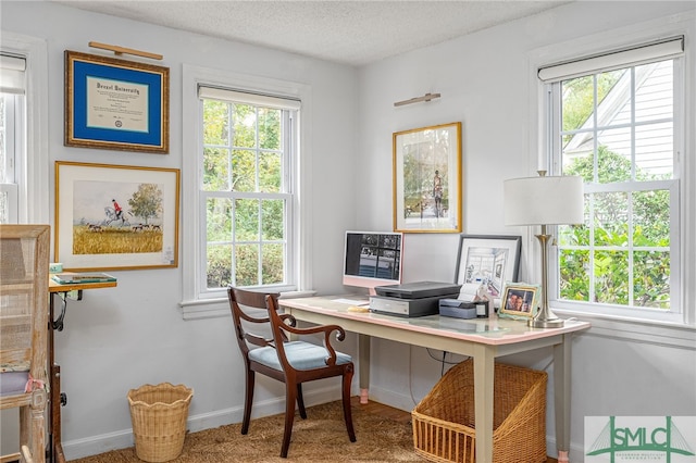 office area with a textured ceiling, carpet floors, and a wealth of natural light