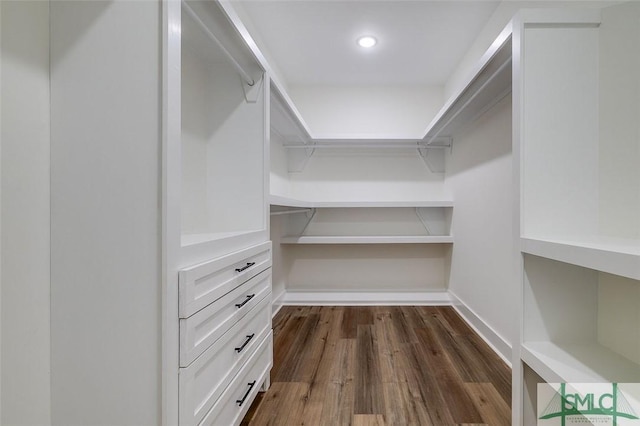 spacious closet with dark hardwood / wood-style flooring