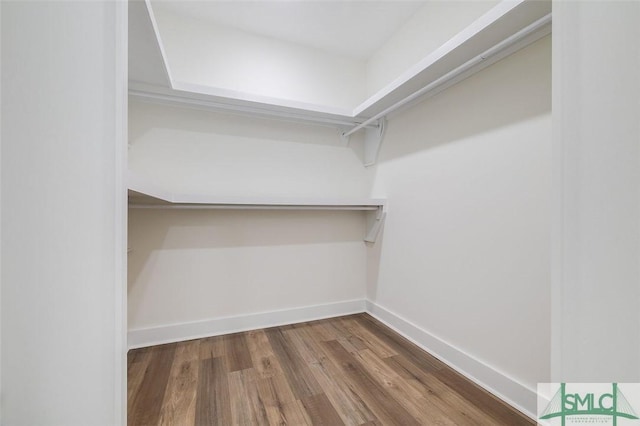 walk in closet featuring wood-type flooring