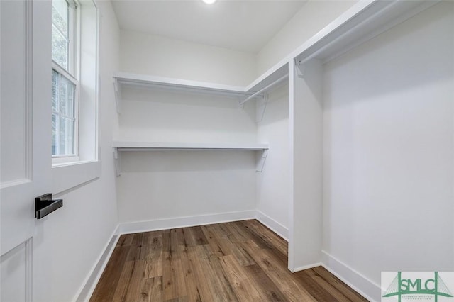 spacious closet featuring hardwood / wood-style floors