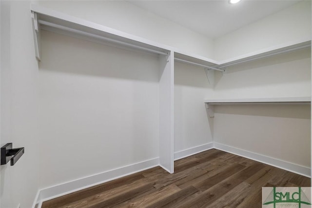 walk in closet featuring dark hardwood / wood-style flooring