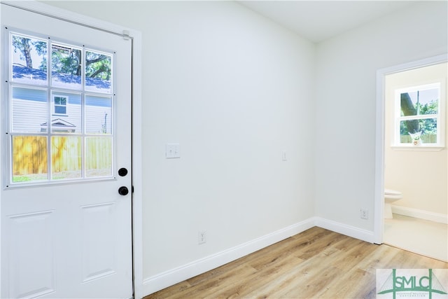 doorway featuring plenty of natural light and light wood-type flooring