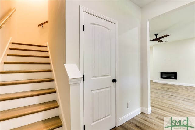 staircase with ceiling fan and wood-type flooring