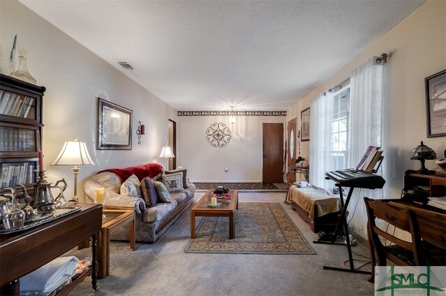 carpeted living room with a textured ceiling