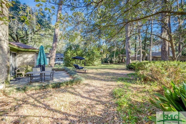 view of yard featuring a patio area