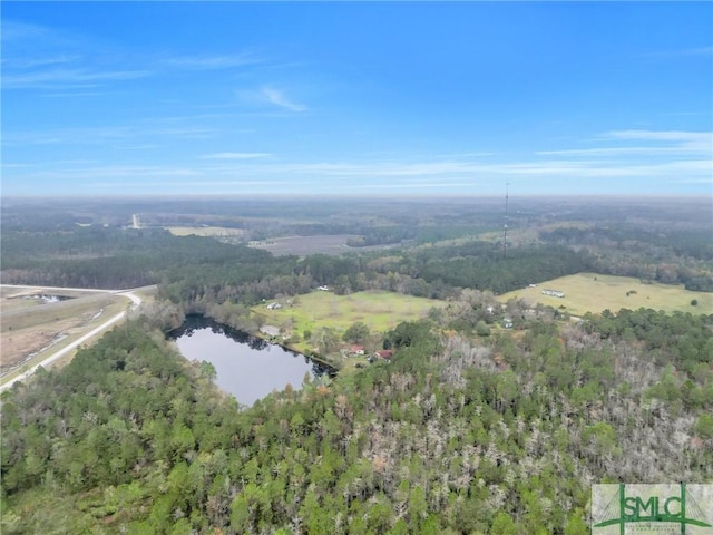 21790 Ga Highway 46, Pembroke, GA 31321