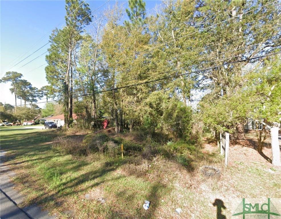 0 Johnny Mercer Blvd, Savannah, GA 31410 - photo 1
