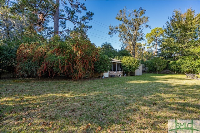 view of yard