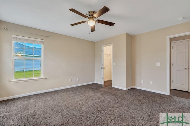 unfurnished bedroom with dark colored carpet, a walk in closet, a closet, and ceiling fan