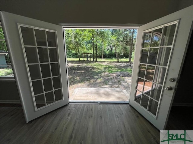 entryway featuring plenty of natural light and dark wood-type flooring