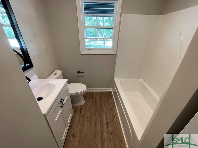 bathroom featuring vanity, wood-type flooring, and toilet