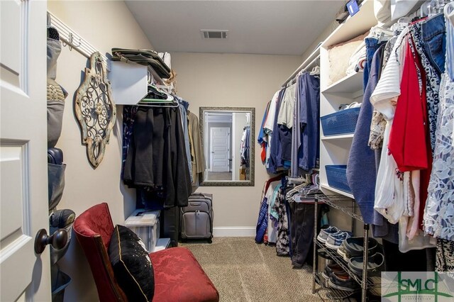 spacious closet with carpet